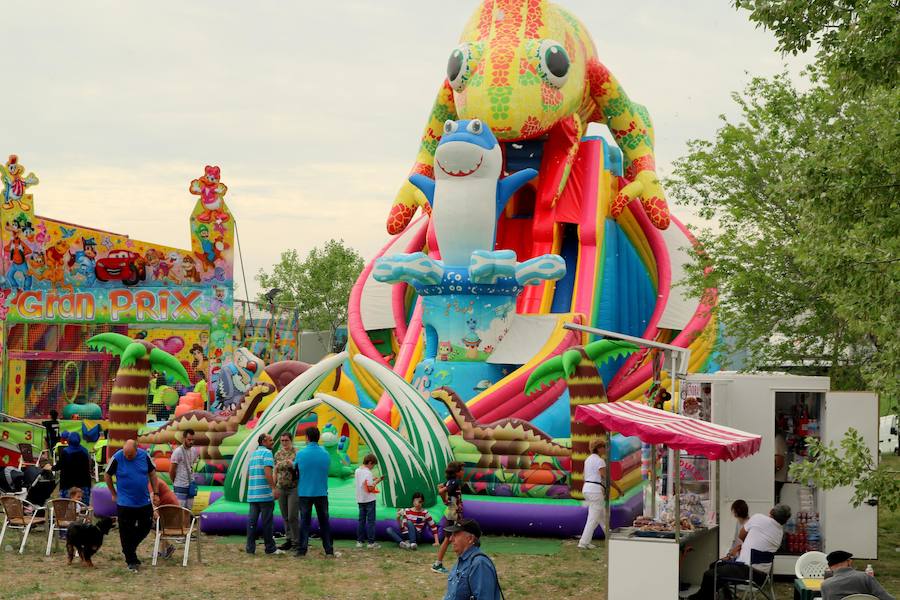 Fotos: Baltanás disfruta de la fiesta de San Gregorio