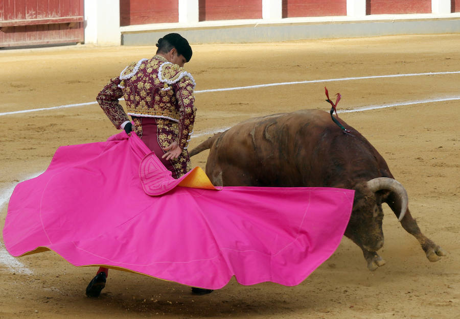 Fiestas de San Pedro Regalado 2018