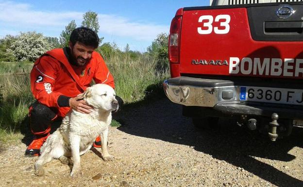 Un bombero, con el perro rescatado en el Canal. 