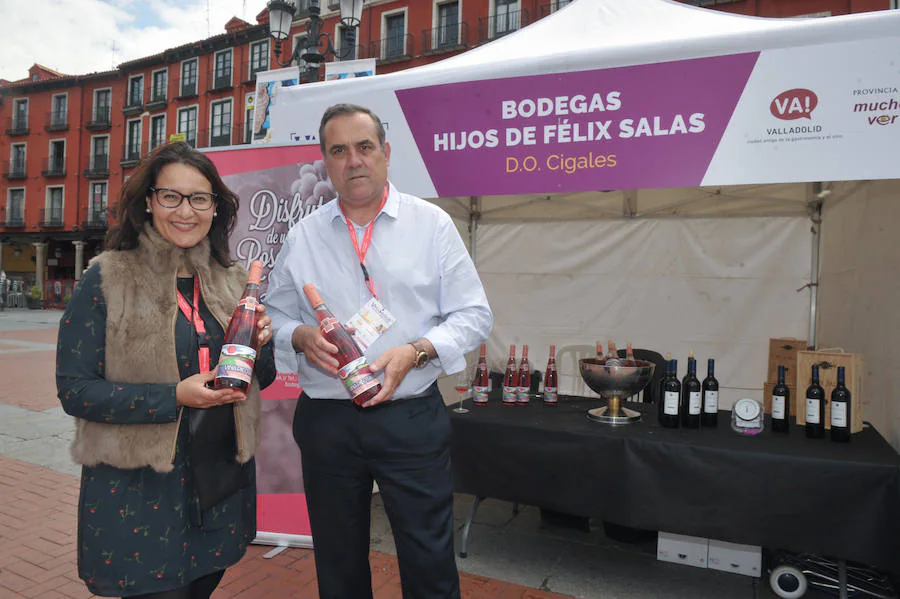 `Valladolid, Plaza Mayor del Vino´ ya ha echado a andar en la Plaza Mayor de la ciudad. Se han inaugurado las 50 carpas en las que las cinco Denominaciones de Origen y la marca Alimentos de Valladolid ofrecerán degustaciones y catas de sus productos.