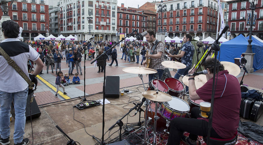 Fotos: Jornada del sábado por la tarde en la feria &#039;Valladolid, plaza mayor del vino&#039;