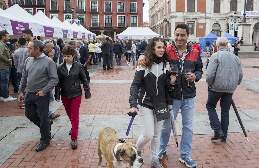 Fotos: Jornada del sábado por la tarde en la feria &#039;Valladolid, plaza mayor del vino&#039;