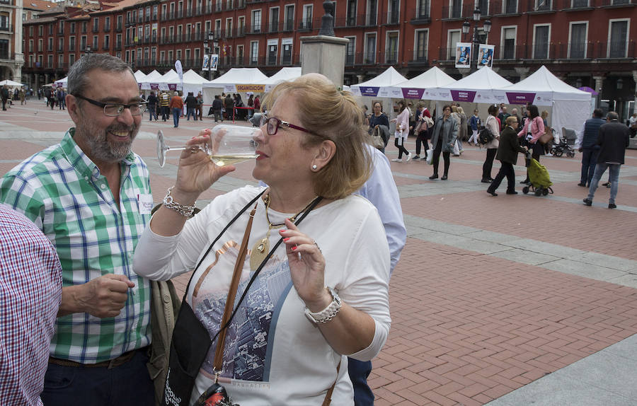 Fotos: Inauguración de &#039;Valladolid, Plaza Mayor del Vino´ en la Plaza Mayor de la capital