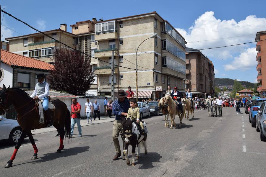 Fotos: Fiesta de la Primavera en Guardo