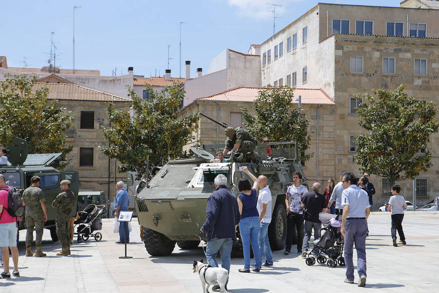 Fotos: Día de las Fuerzas Armadas en Salamanca