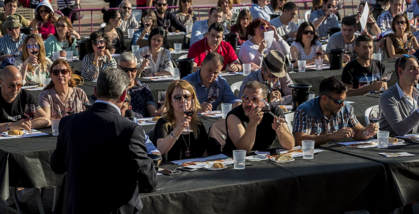 Fotos: Jornada del sábado por la tarde en la feria &#039;Valladolid, Plaza Mayor del Vino&#039;