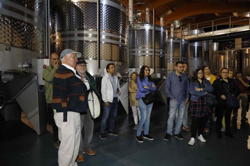 Fotos: Ruta enoturística en Ribera del Duero enmarcada en la feria &#039;Valladolid, Plaza Mayor del Vino&#039;