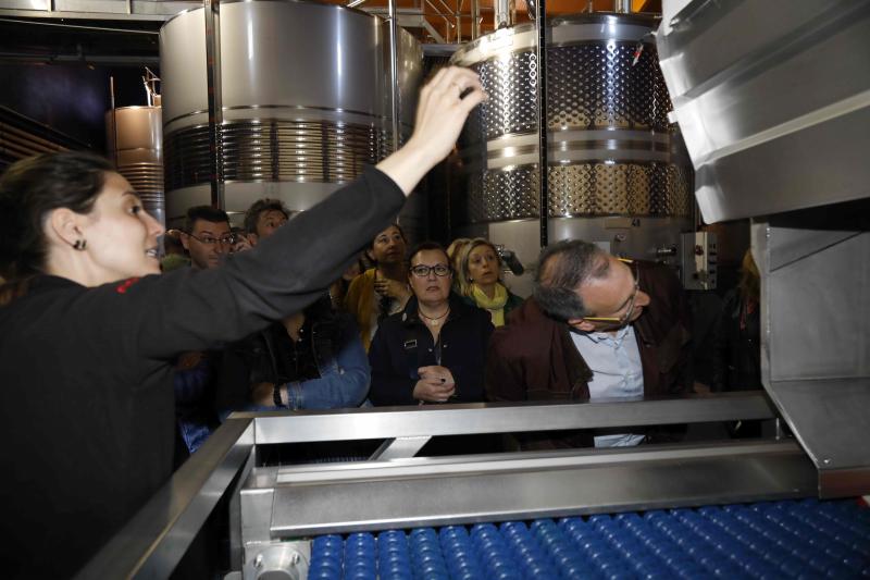 Fotos: Ruta enoturística en Ribera del Duero enmarcada en la feria &#039;Valladolid, Plaza Mayor del Vino&#039;