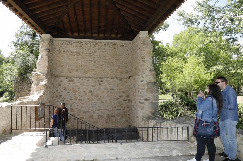 Fotos: Ruta enoturística en Ribera del Duero enmarcada en la feria &#039;Valladolid, Plaza Mayor del Vino&#039;