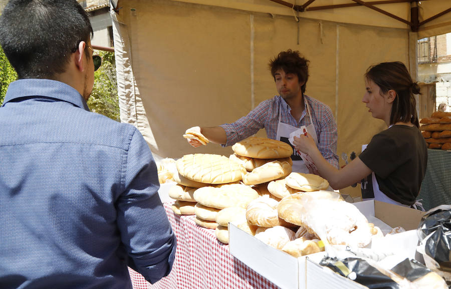 Fotos: Feria del Pan de Grijota