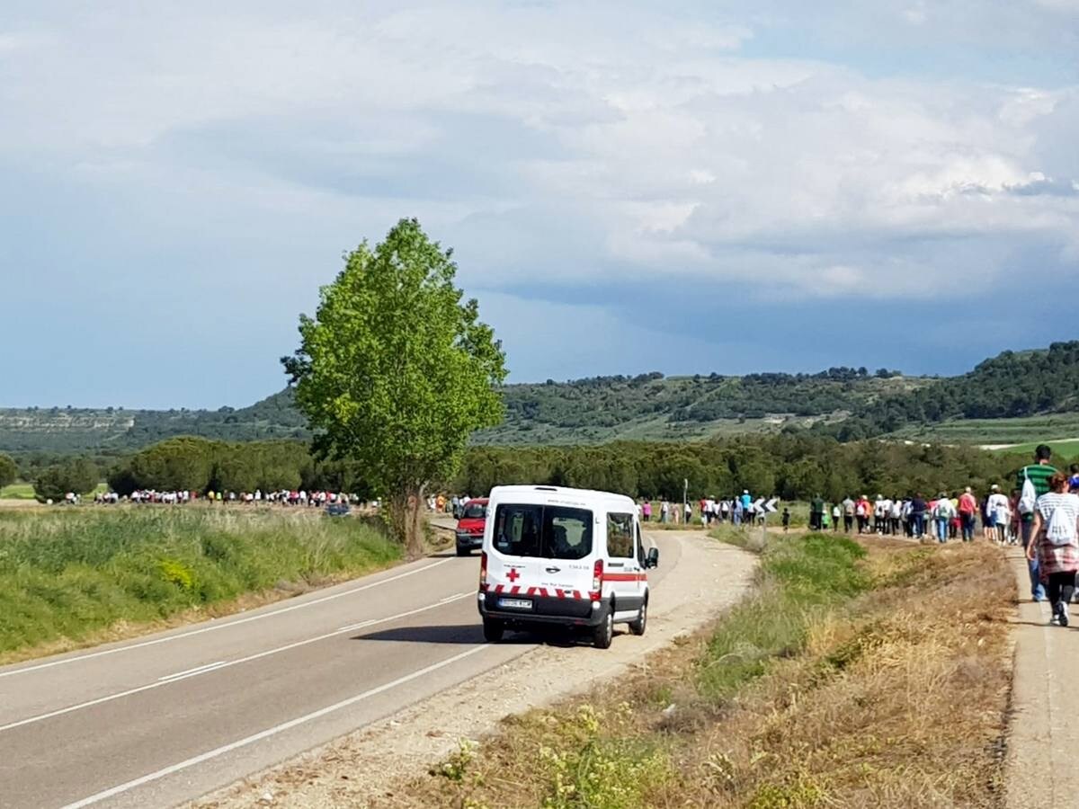 Fotos: III Marcha contra el cáncer en Mojados