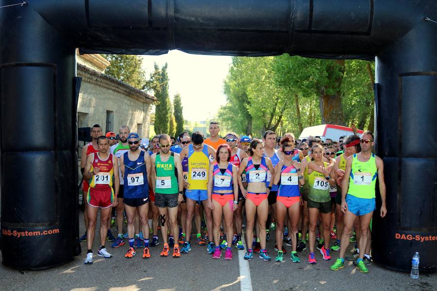 Fotos: Media Maratón del Cerrato