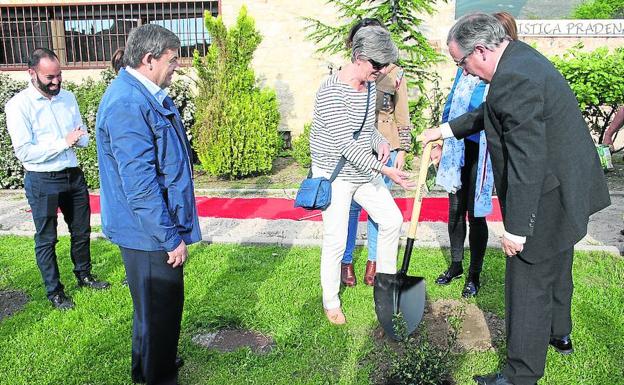 La alcaldesa de Prádena y el delegado de la Junta plantan uno de los acebos. 