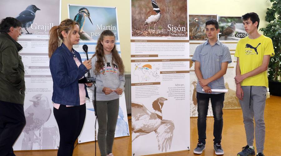 Fotos: Inauguración de &#039;Expo Aves. A vista de Pajarillos&#039;