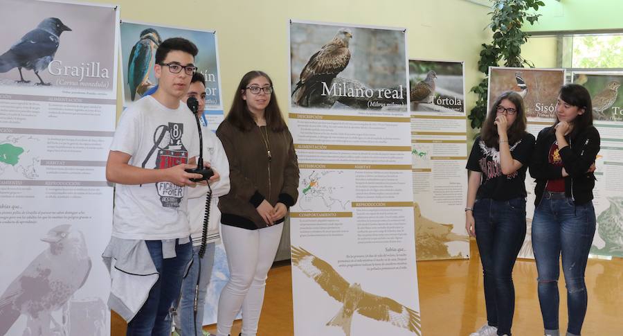 Fotos: Inauguración de &#039;Expo Aves. A vista de Pajarillos&#039;