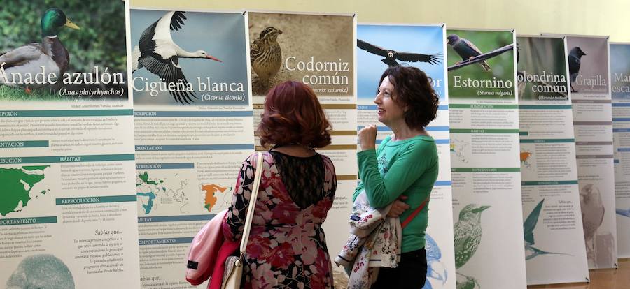 Fotos: Inauguración de &#039;Expo Aves. A vista de Pajarillos&#039;