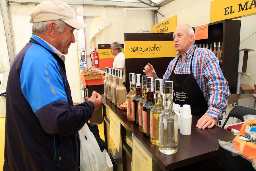 Fotos: Inauguración de la carpa de Tierra de Sabor