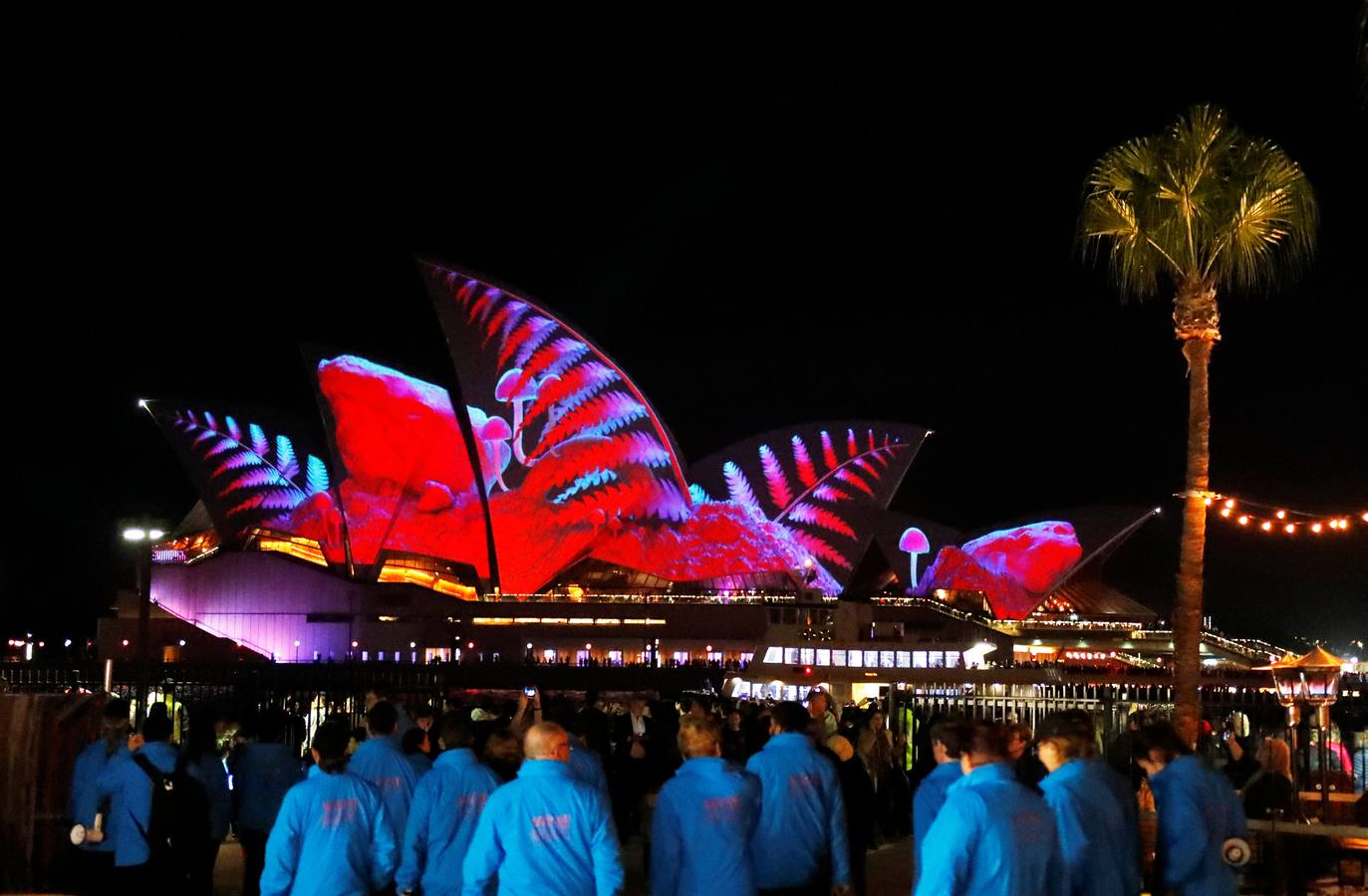 Esculturas digitales en movimiento inspiradas en la naturaleza australiana decoran la Casa de la Ópera de Sídney, en la inauguración del décimo Festival Vivid de luces, música e ideas