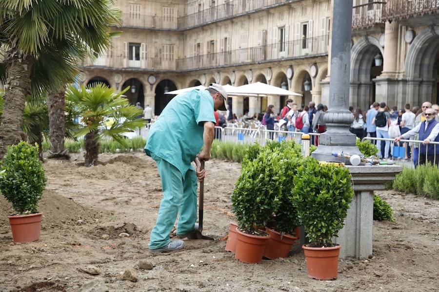 El solar de las Adoratrices guarda varios de estos vehículos