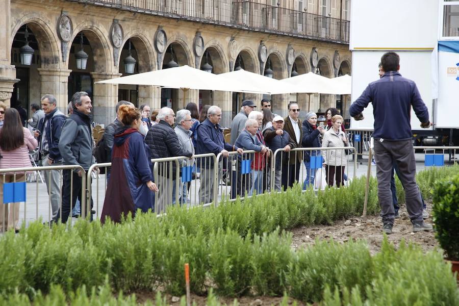 El solar de las Adoratrices guarda varios de estos vehículos