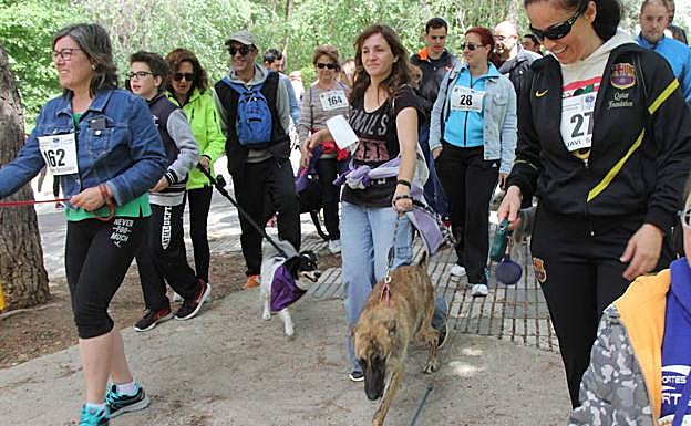 Marcha perruna a favor de la Asociacion de Autismo de Palencia, el pasado año. 