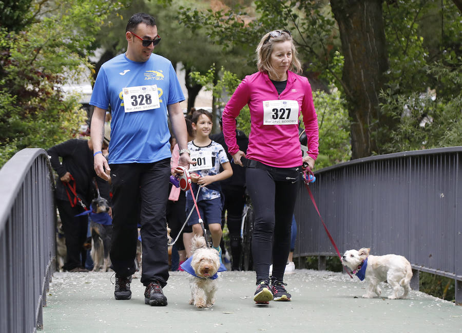 Fotos: Marcha perruna en Palencia