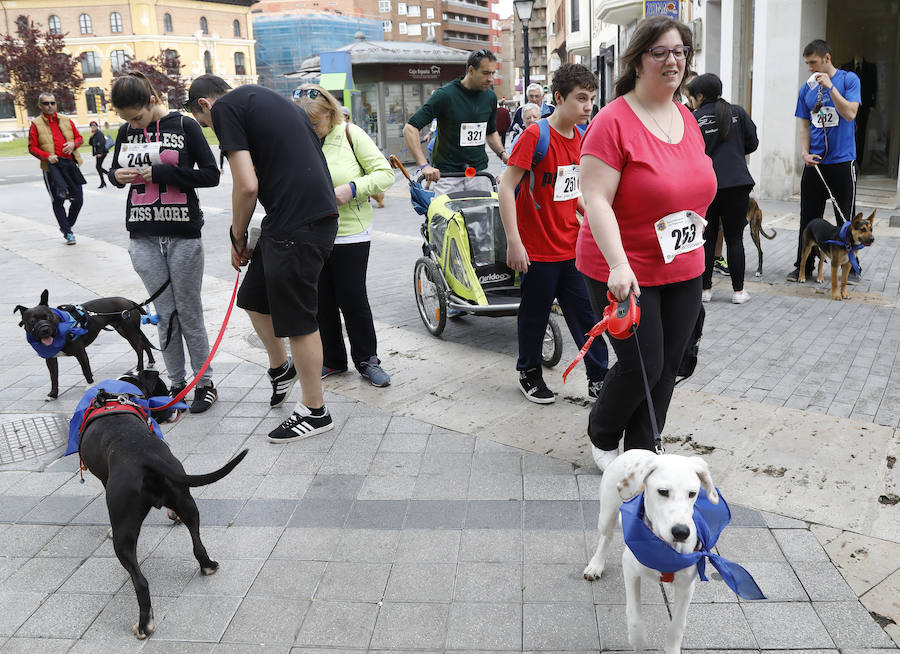 Fotos: Marcha perruna en Palencia