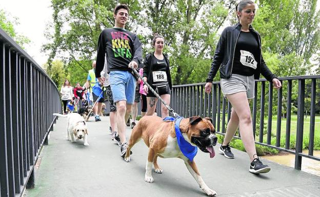 Participantes durante la 'Marcha Perruna'. 