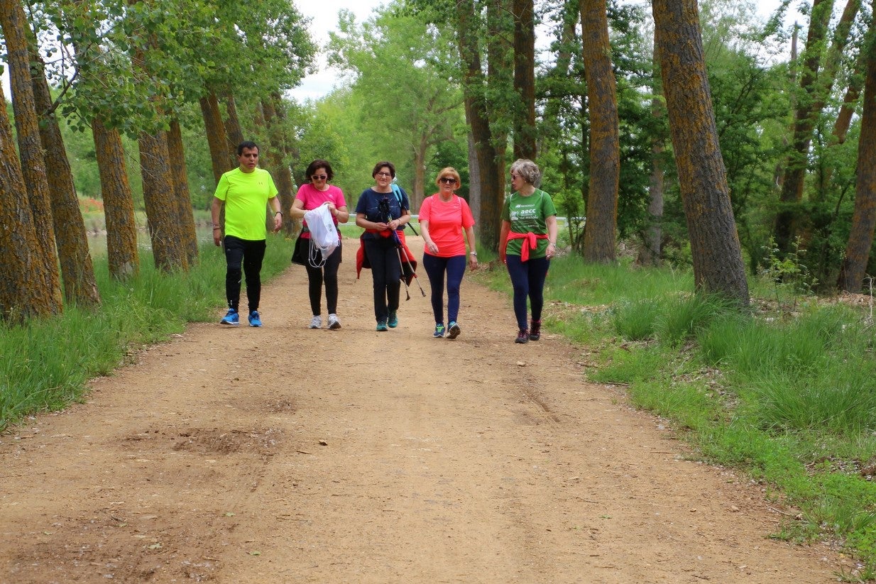 La marcha transcurrió junto al Canal de Castilla, 14 kilómetros de distancia en un recorrido de ida y vuelta por los caminos de sirga, hasta el conocido como puente de Moral