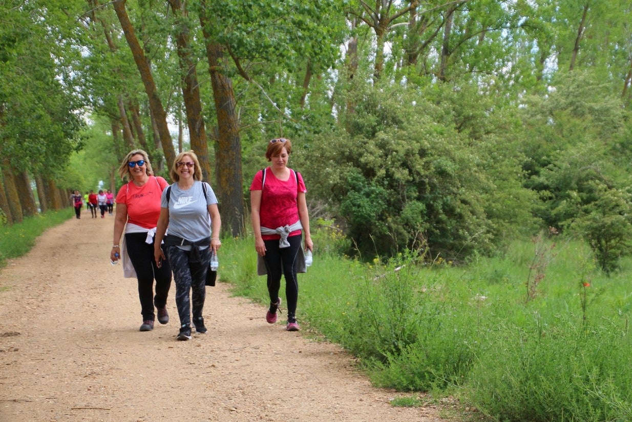 La marcha transcurrió junto al Canal de Castilla, 14 kilómetros de distancia en un recorrido de ida y vuelta por los caminos de sirga, hasta el conocido como puente de Moral