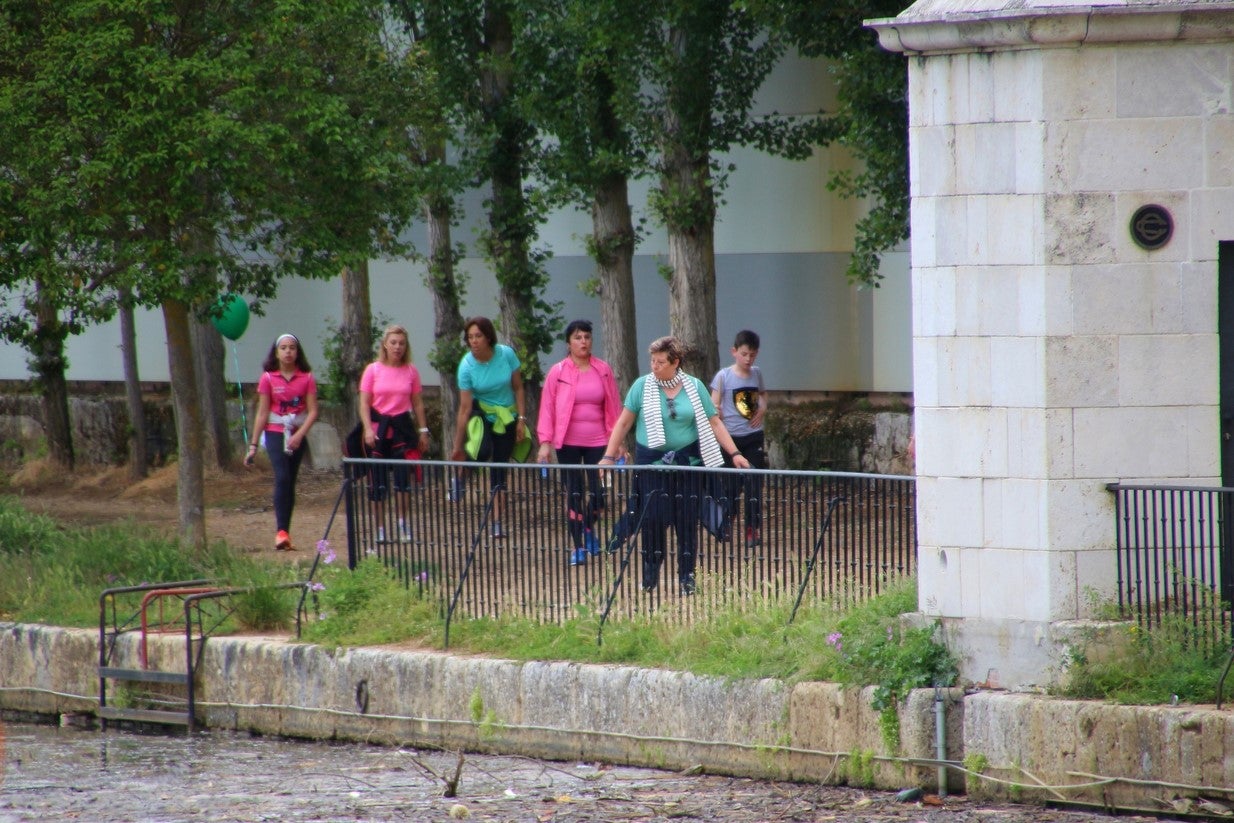 La marcha transcurrió junto al Canal de Castilla, 14 kilómetros de distancia en un recorrido de ida y vuelta por los caminos de sirga, hasta el conocido como puente de Moral