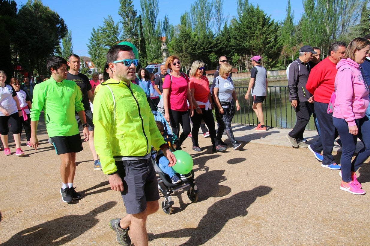 La marcha transcurrió junto al Canal de Castilla, 14 kilómetros de distancia en un recorrido de ida y vuelta por los caminos de sirga, hasta el conocido como puente de Moral