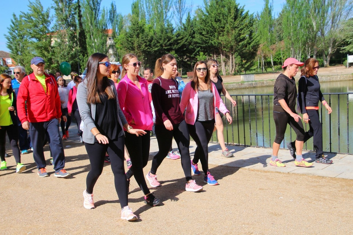 La marcha transcurrió junto al Canal de Castilla, 14 kilómetros de distancia en un recorrido de ida y vuelta por los caminos de sirga, hasta el conocido como puente de Moral