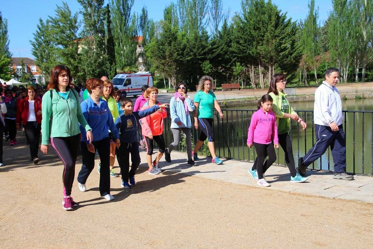 La marcha transcurrió junto al Canal de Castilla, 14 kilómetros de distancia en un recorrido de ida y vuelta por los caminos de sirga, hasta el conocido como puente de Moral