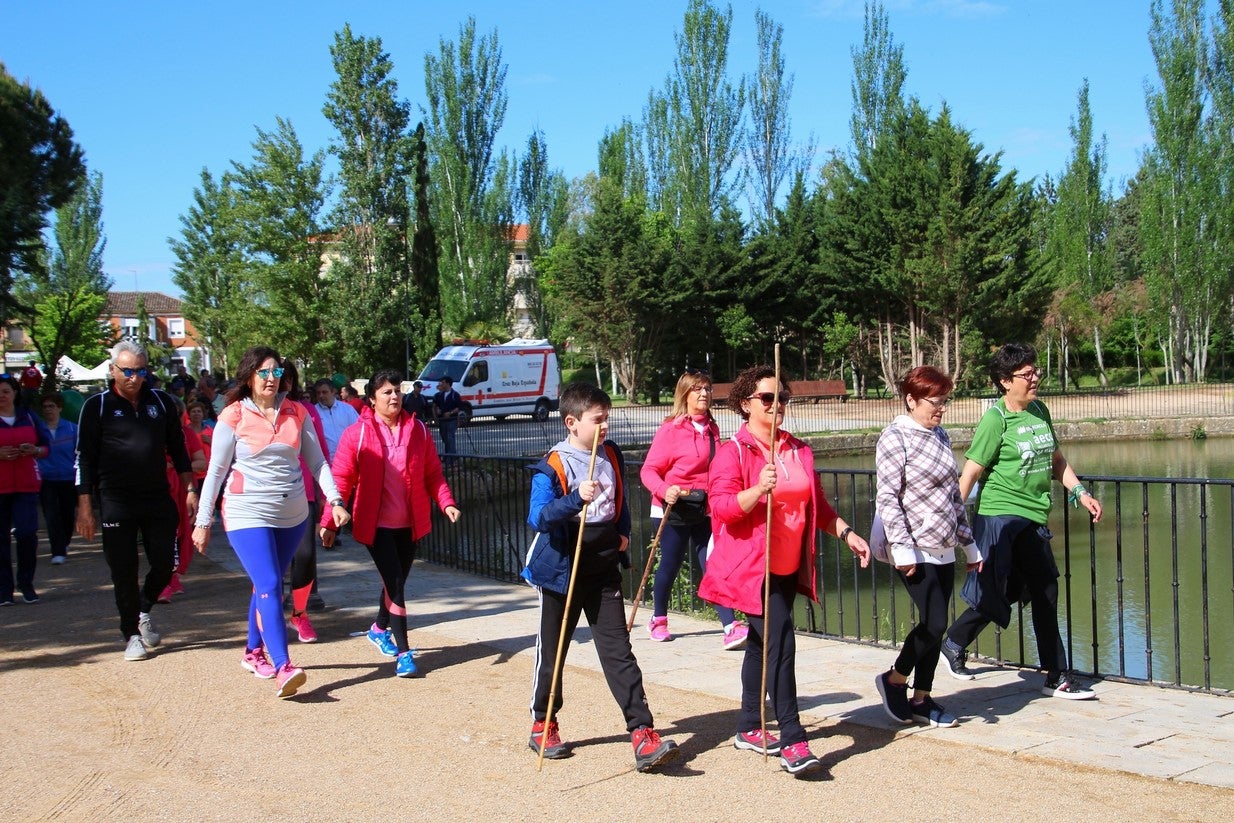 La marcha transcurrió junto al Canal de Castilla, 14 kilómetros de distancia en un recorrido de ida y vuelta por los caminos de sirga, hasta el conocido como puente de Moral