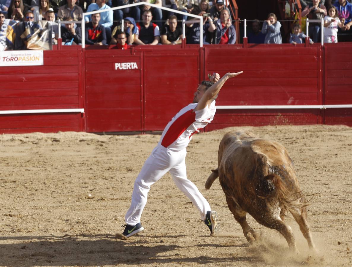 El coso de la localidad zamorana disfrutó con el saber hacer y la buena condición física de los dieciséis participantes
