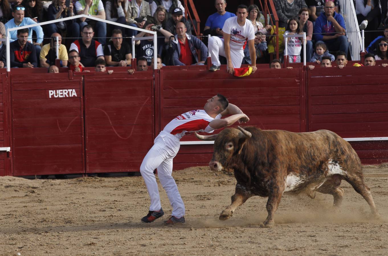 El coso de la localidad zamorana disfrutó con el saber hacer y la buena condición física de los dieciséis participantes