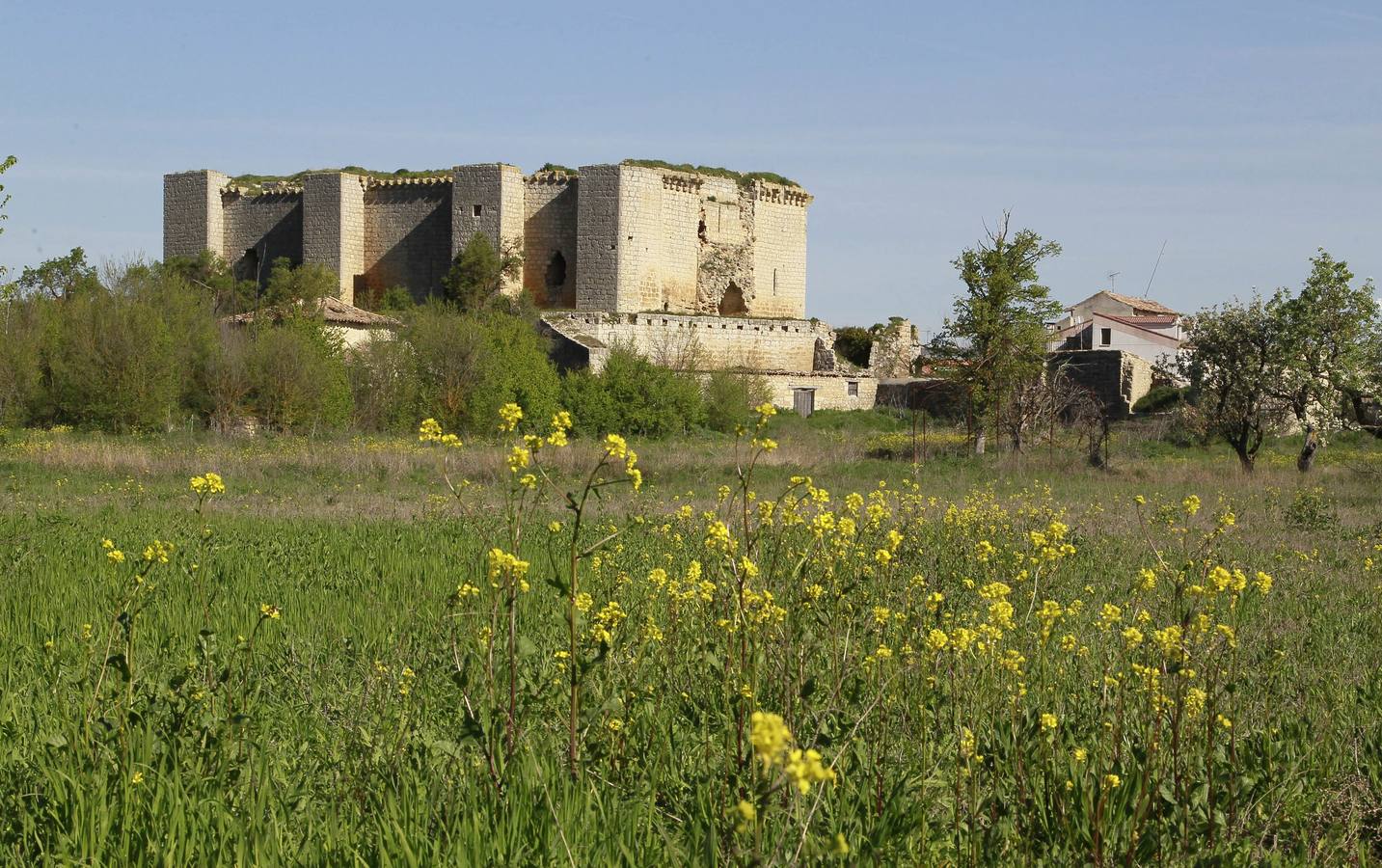 Castillo de Villalba de los Alcores. La construcción del castillo se debe a Alonso Téllez de Meneses y la obra comenzó en 1195. Durante la revolución comunera, en 1520, mantuvo una guarnición leal al emperador Carlos V. Pocos años más tarde, en 1528, acogió temporalmente a dos príncipes franceses -el Delfín y su hermano el duque de Orleans- y a su séquito, rehenes de Carlos V como garantía de cumplimiento de los compromisos adquiridos por el rey de Francia, Francisco I, tras su derrota en la batalla de Pavía. A principios del siglo XVII comienza la decadencia del castillo al ser desmantelado el tejado de la torre del homenaje y ser vendidos sus cañones, tejas y vigas
