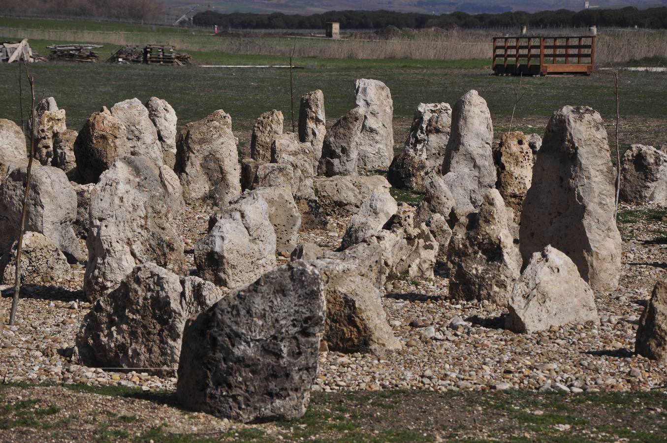 Necrópolis de las Ruedas de Pintia, en Padilla de Duero. Se extiende sobre una superficie de unas cuatro hectáreas y fue utilizada como cementerio durante 600 años. El yacimiento es conocido desde 1868. Desde 1985 se sigue excavando. El laboreo agrícola, en su modalidad de arada y siembra, ha destrozado desde hace años buena parte de la necrópolis y ha motivado la extracción incontrolada de estelas. 