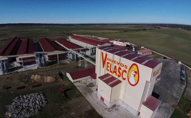 Instalaciones de Avícola Velasco. 