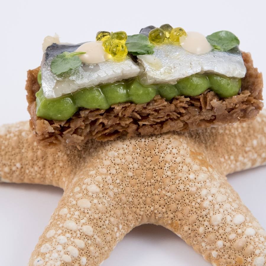 Aquarium. Parrochita castellana. 