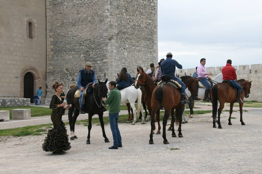 Fotos: Feria del caballo en Cuéllar
