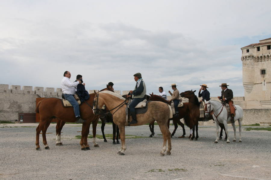 Fotos: Feria del caballo en Cuéllar