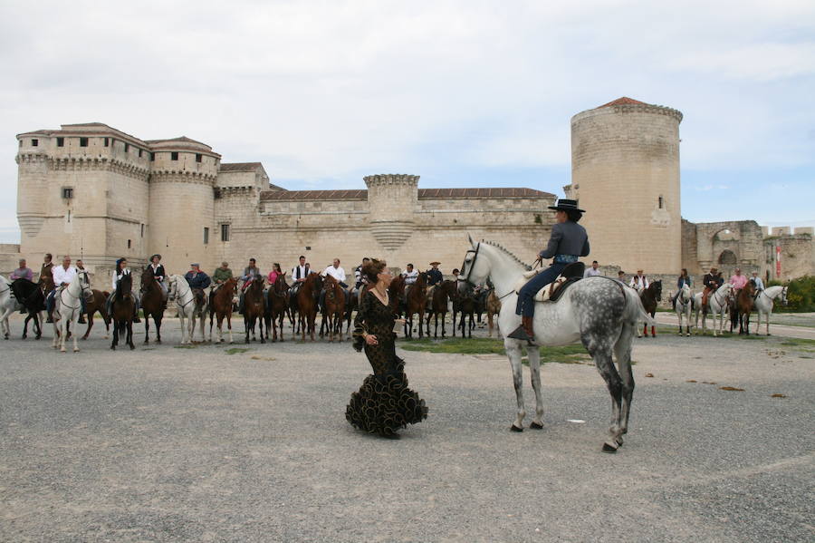 Fotos: Feria del caballo en Cuéllar