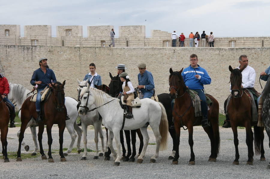 Fotos: Feria del caballo en Cuéllar