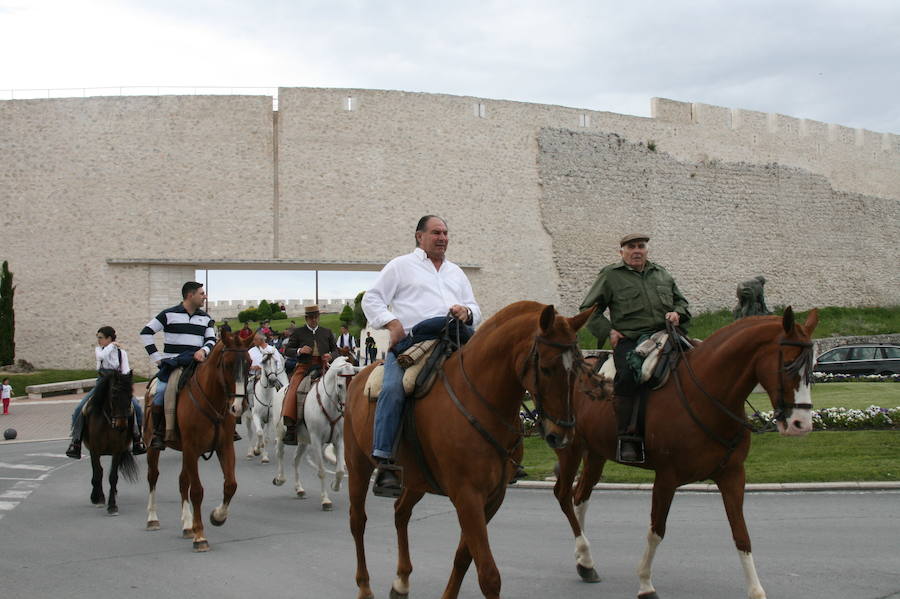 Fotos: Feria del caballo en Cuéllar