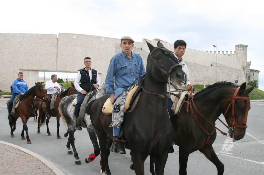Fotos: Feria del caballo en Cuéllar