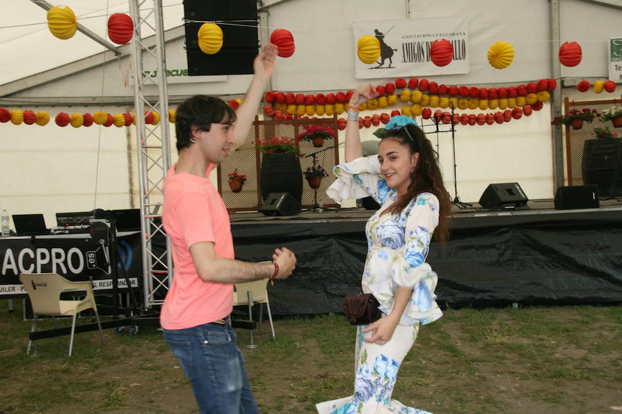 Fotos: Feria del caballo en Cuéllar
