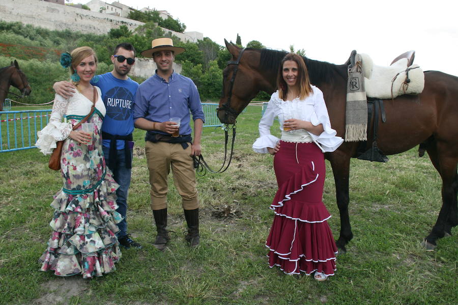 Fotos: Feria del caballo en Cuéllar