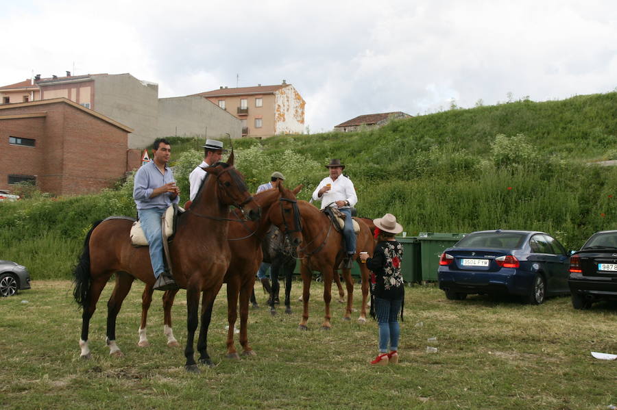 Fotos: Feria del caballo en Cuéllar